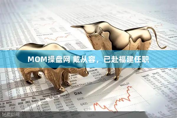 MOM操盘网 戴从容，已赴福建任职